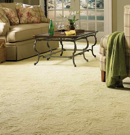 Select Flooring & Carpet Remodeling in Spring Texas